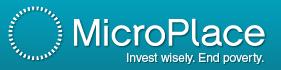microplace.jpg